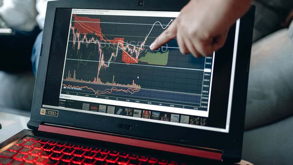 Analyzing Stock